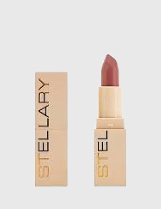 помада для губ устойчивая / long lasting lipstick тон 06